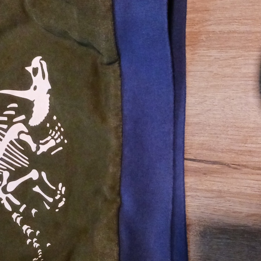 9/10 Mini Boden Blue and Green Dinosaur Hoodie - Picture 4 of 7